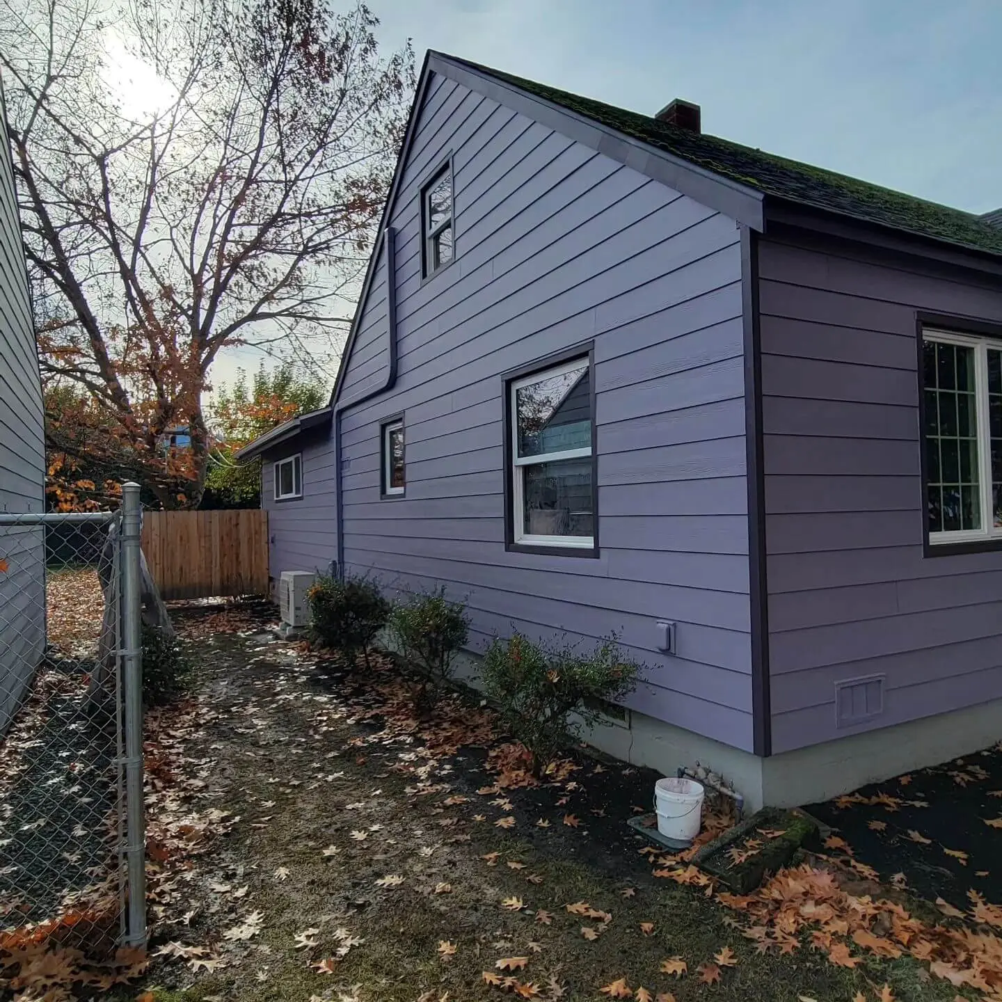 siding painting